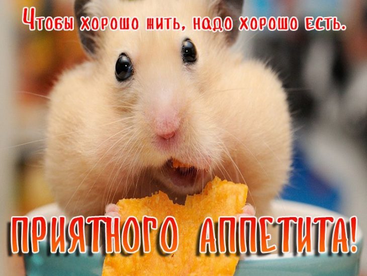 Открытки